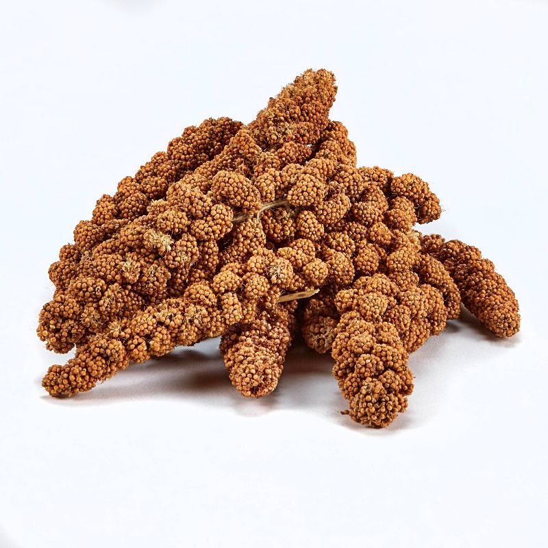 Fruit Feeder - ANCIENT GRAFFITI