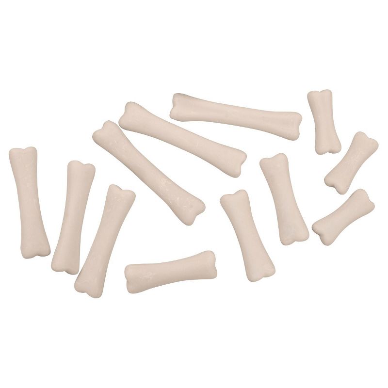 Yellow Door Dinosaur Bones Discovery Set