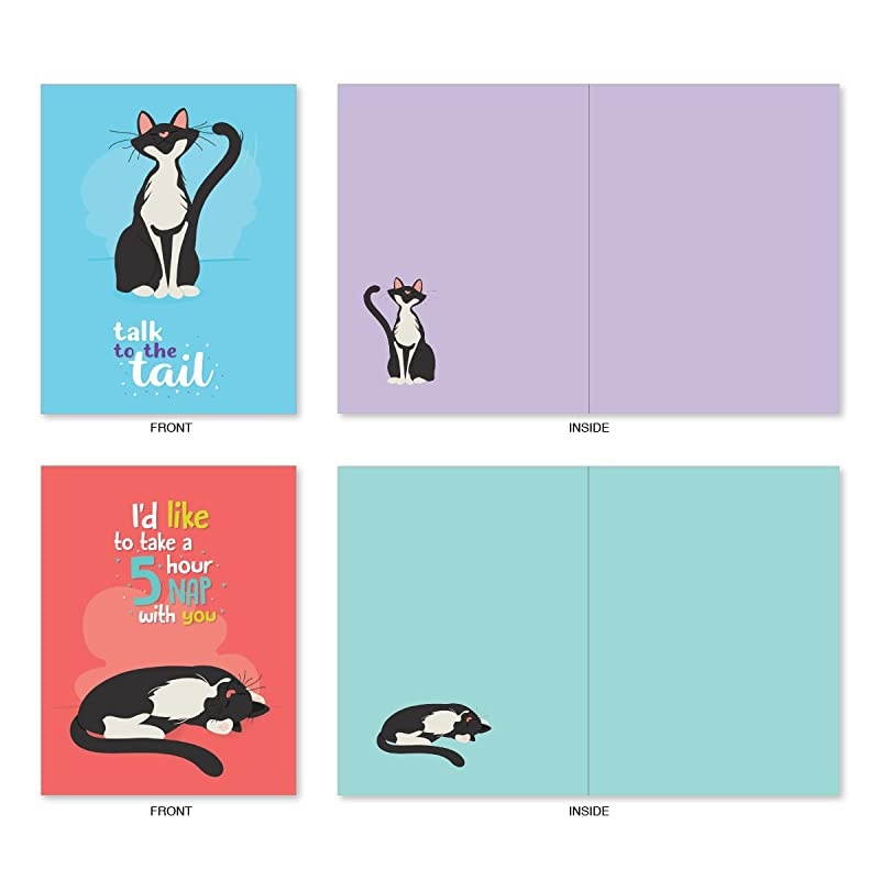 10 All Occasion Blank Cat Cards (4 x 5.12 Inch) - Cute Assorted Bulk Card Set - Catty Cards M6558OCB