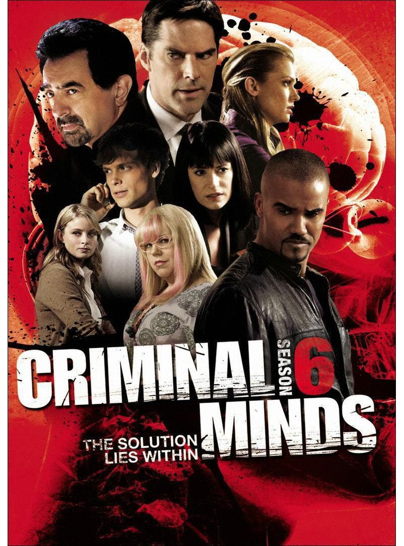 Criminal Minds: Season 6 (DVD)