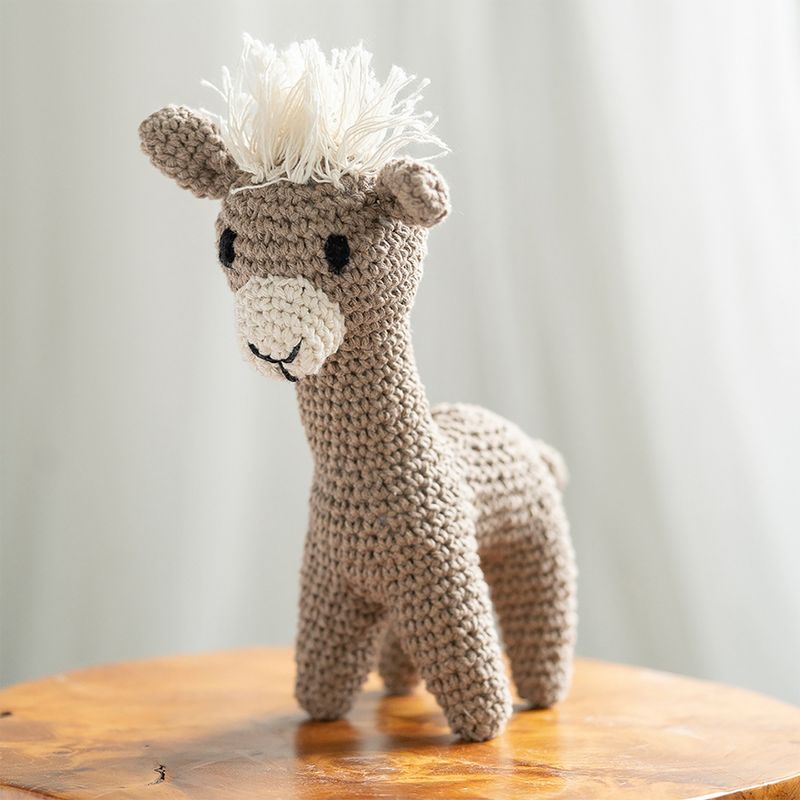 Hoooked Llama Laurie Yarn Kit W/Eco Barbante Yarn