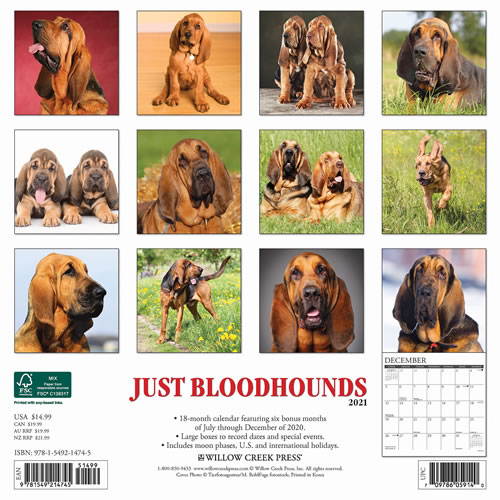 2021 Bloodhounds Wall