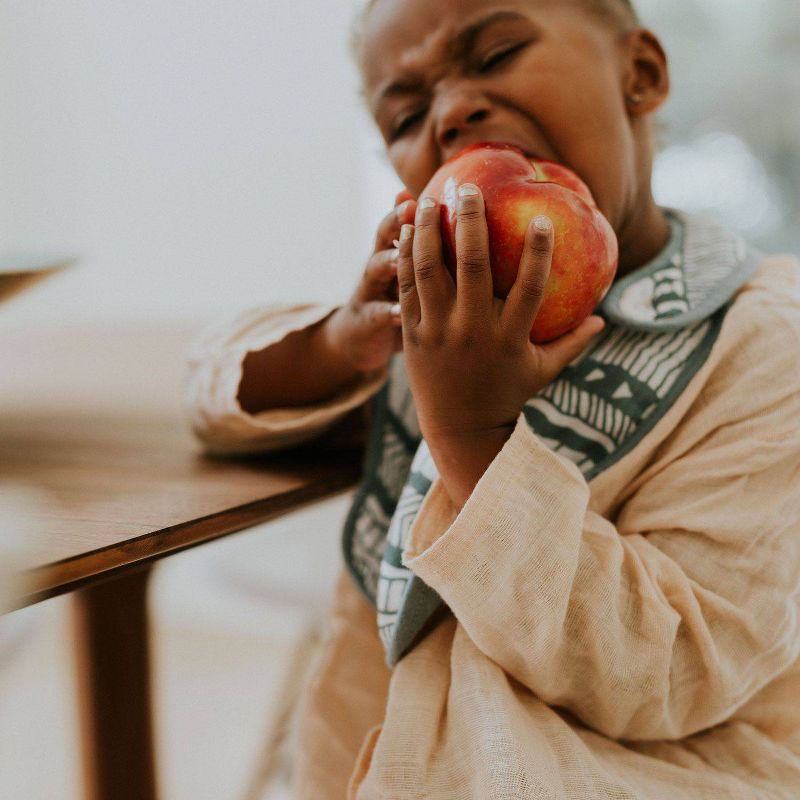 Little Unicorn Cotton Muslin Classic Bib - Bison