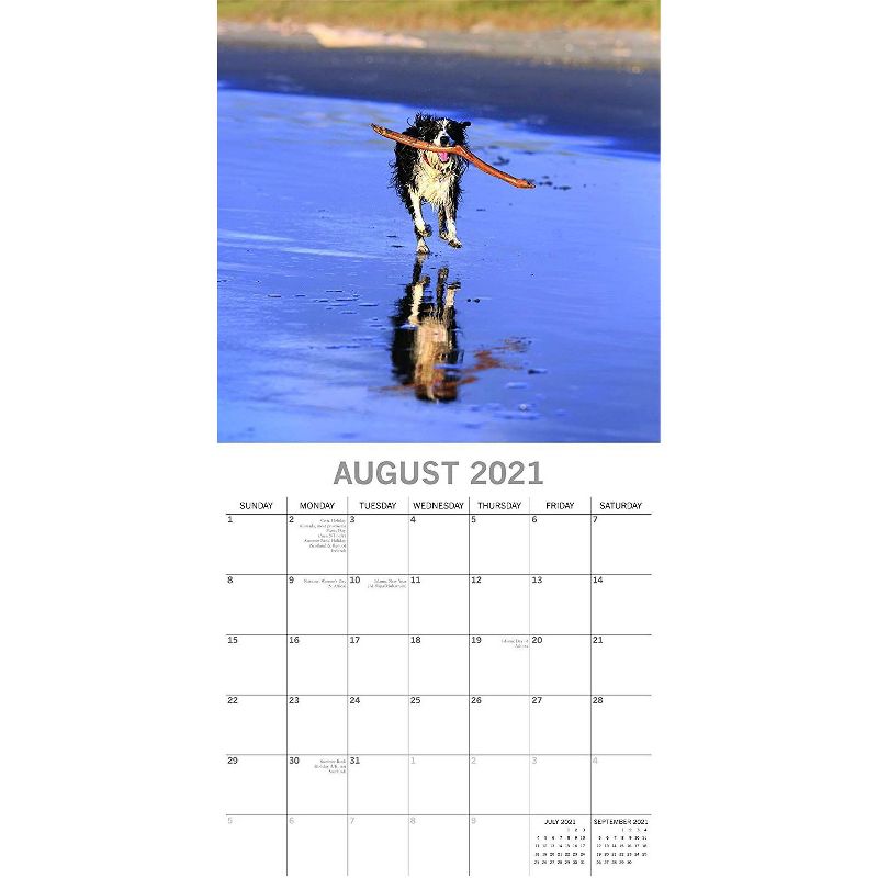 2021 The Everygirl Wall Calendar 15" x 12" Liam - Blue Sky