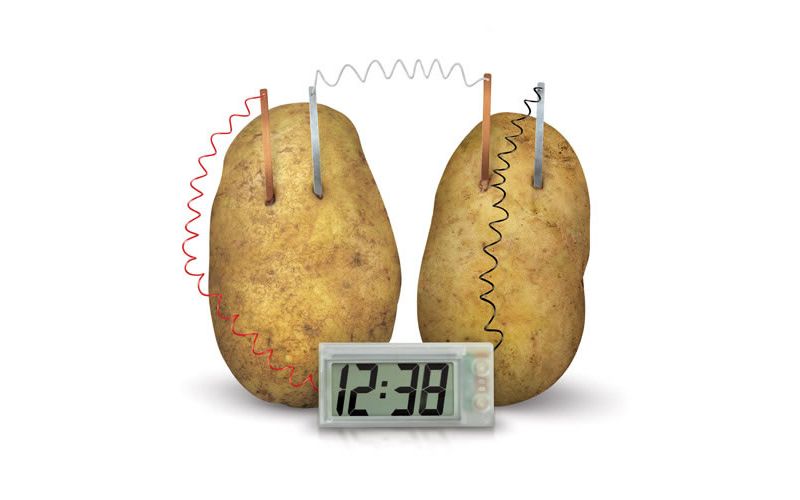 Toysmith 4M Green Science Digital Potato Clock