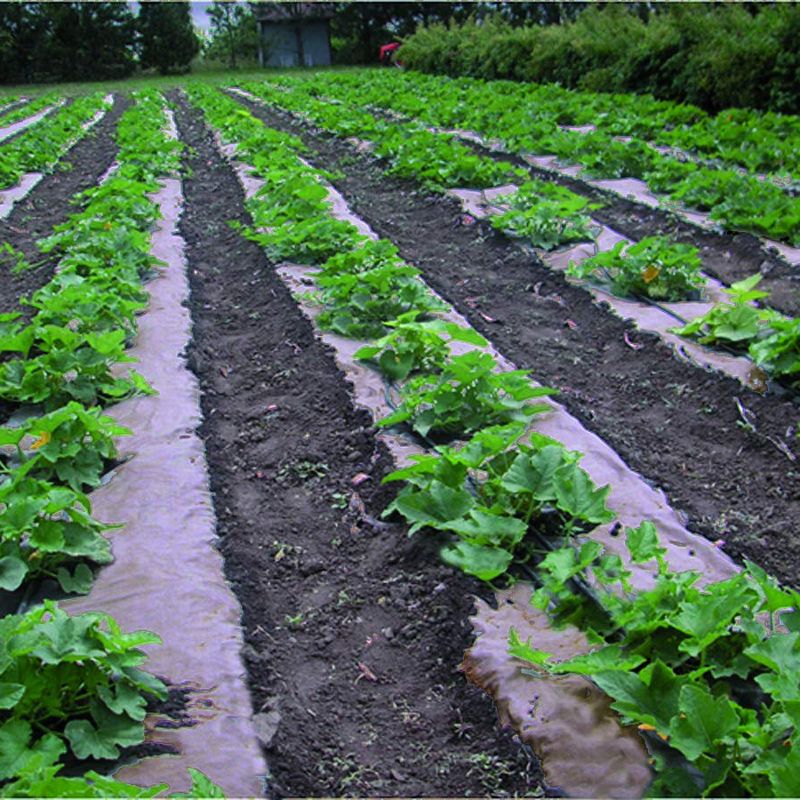 DeWitt NAT3300 3 x 300 Ft All Natural Organic Biodegradable Paper Mulch Garden Weed Control Barrier