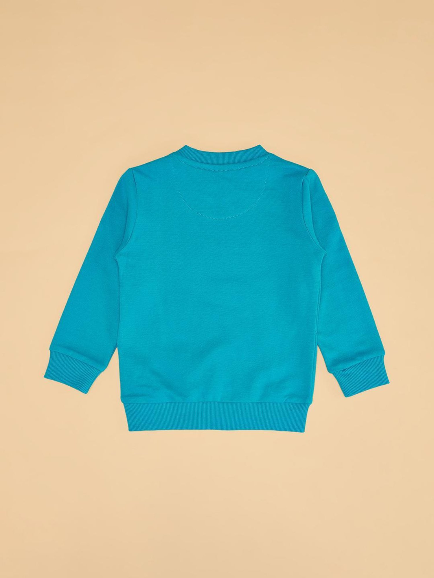Pantaloons Baby Teal Sweatshirt