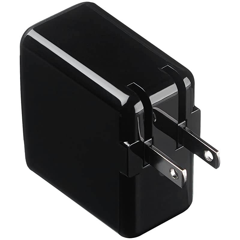 Basics Dual-Port USB Wall Charger for Phone, iPad, and Tablet, 2.4 Amp, Black