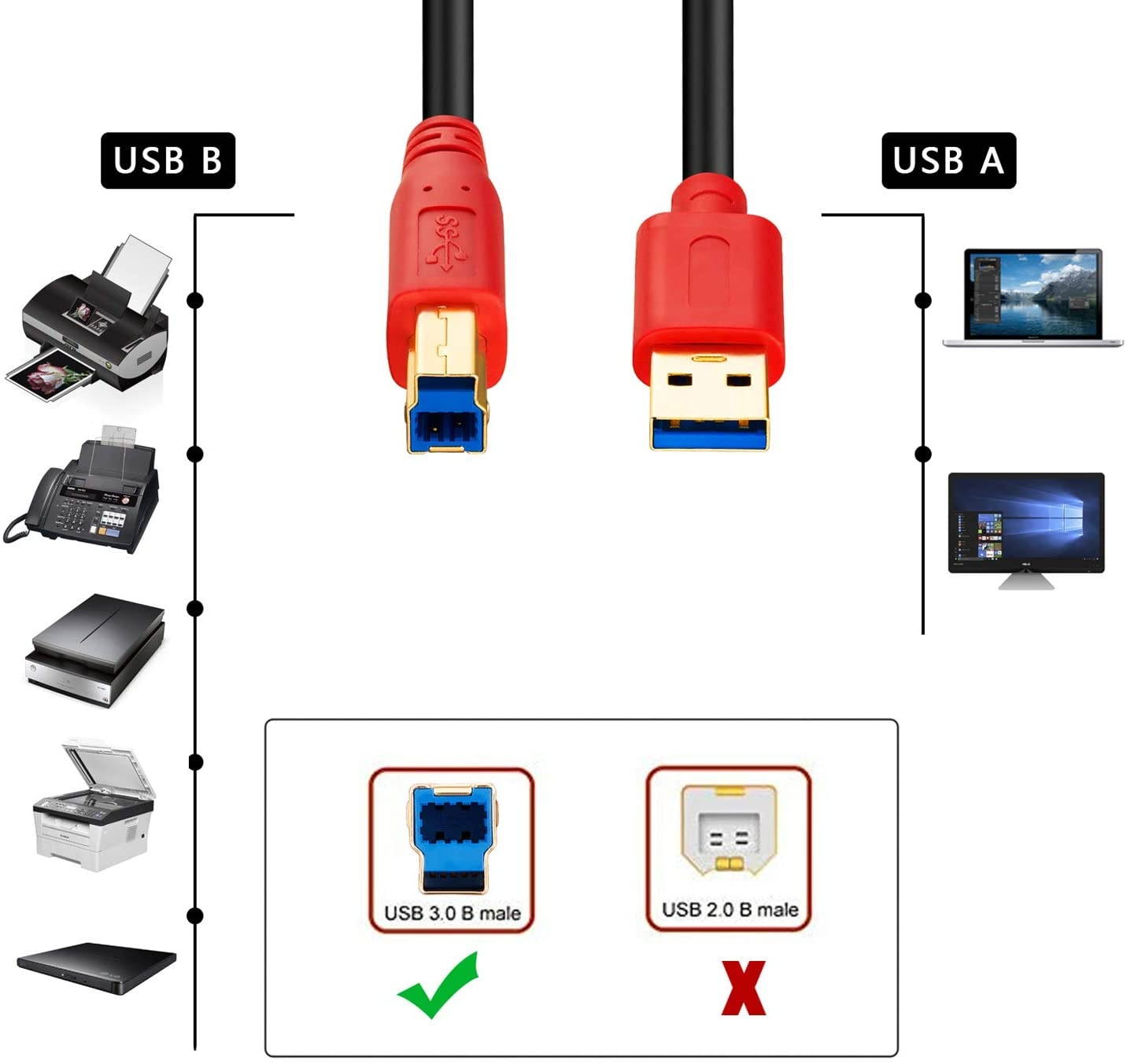 USB 3.0 Cable A Male to B Male 12FtTan QY Type A to B Male Compatible with Hard Disk DrivePrintersScannerUSB HubMonitor and More (12Ft)