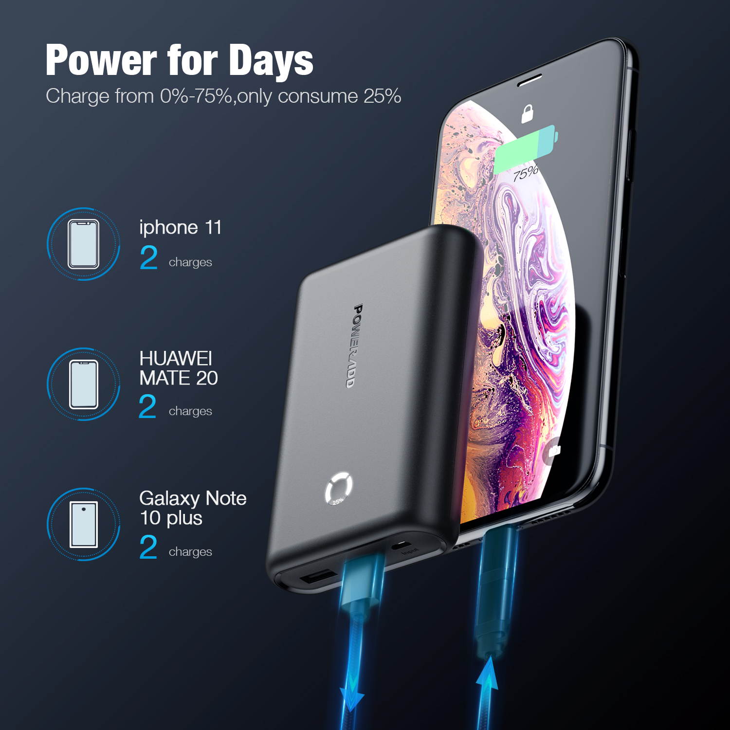 POWERADD Portable Charger EnergyCell 15000mAh Power Bank Dual 5V/2.4A Output External Battery Fast Charging Portable Charger for iPhone Samsung Cellphone, Black