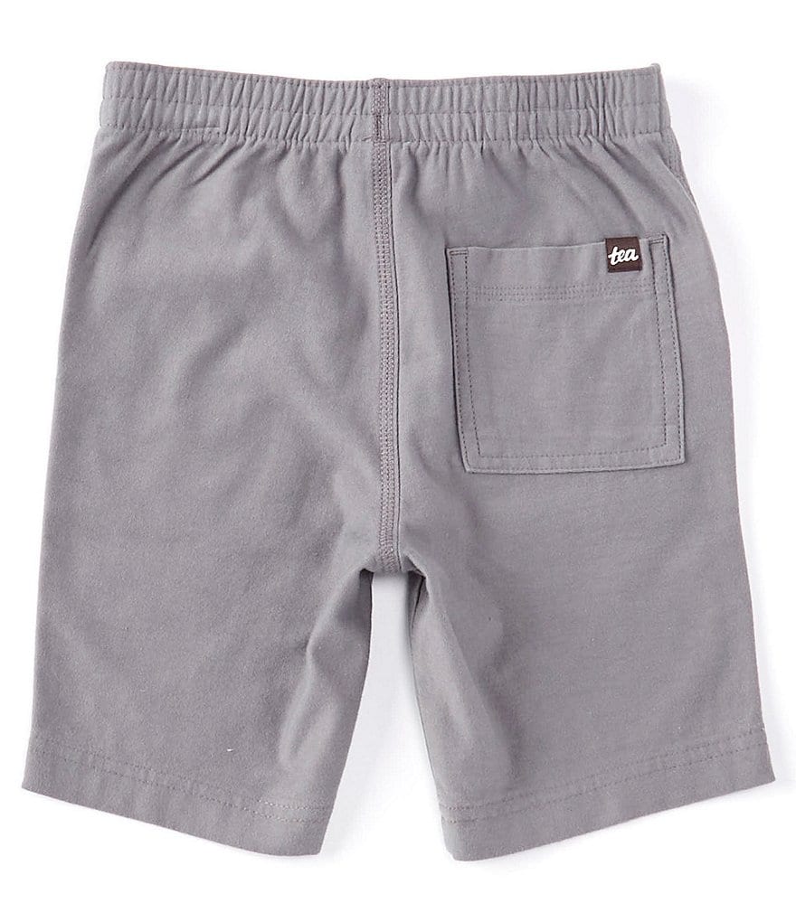 Tea Collection Little Boys 2-6 Playwear Shorts