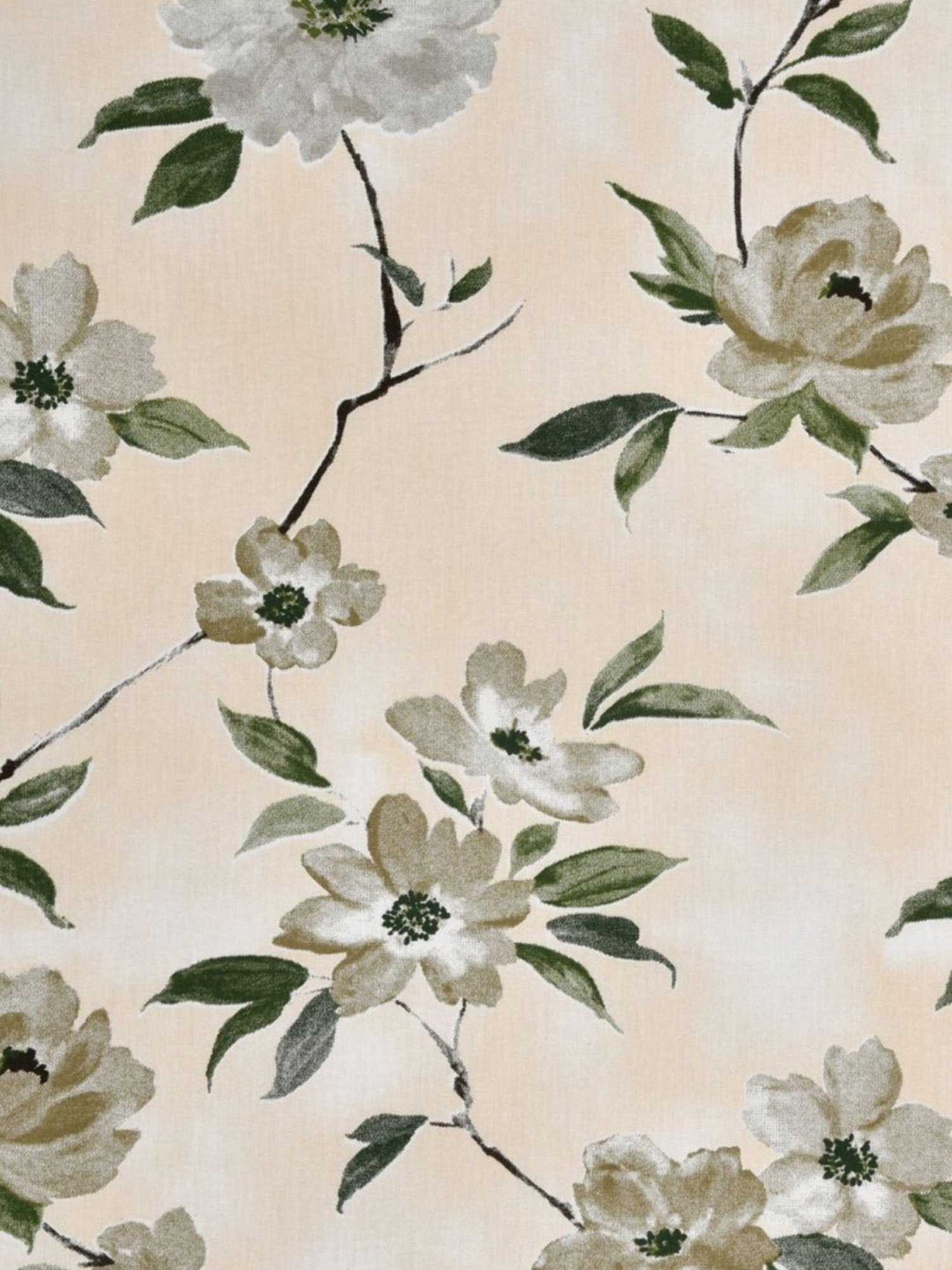 Haus & Kinder Greek Garden Romance Yellow & Greem 186 TC Cotton King Bed Sheet with 2 Pillow Covers