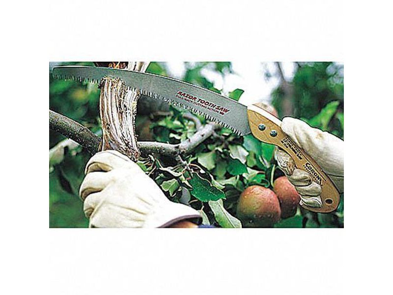CORONA RS7245 Folding Pruning Saw,7 In.