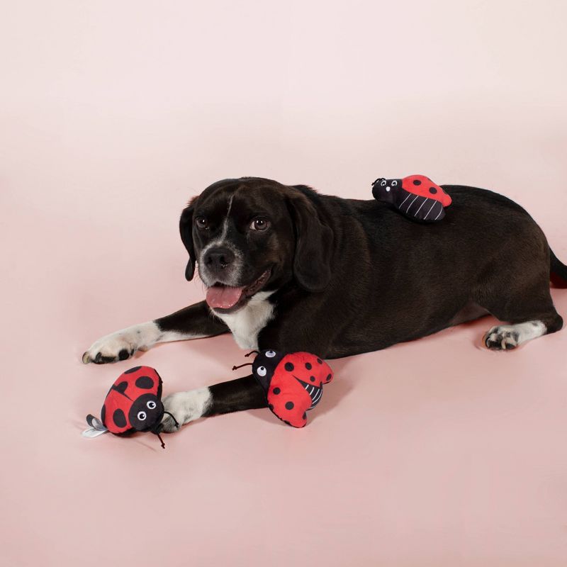 PetShop by Fringe Studio Lady Bug Set Dog Toys - 3pk