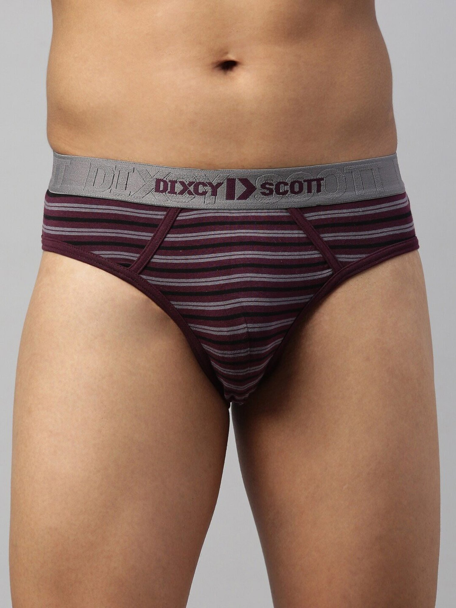 DIXCY SCOTT MAXIMUS Purple Regular Fit Striped Briefs