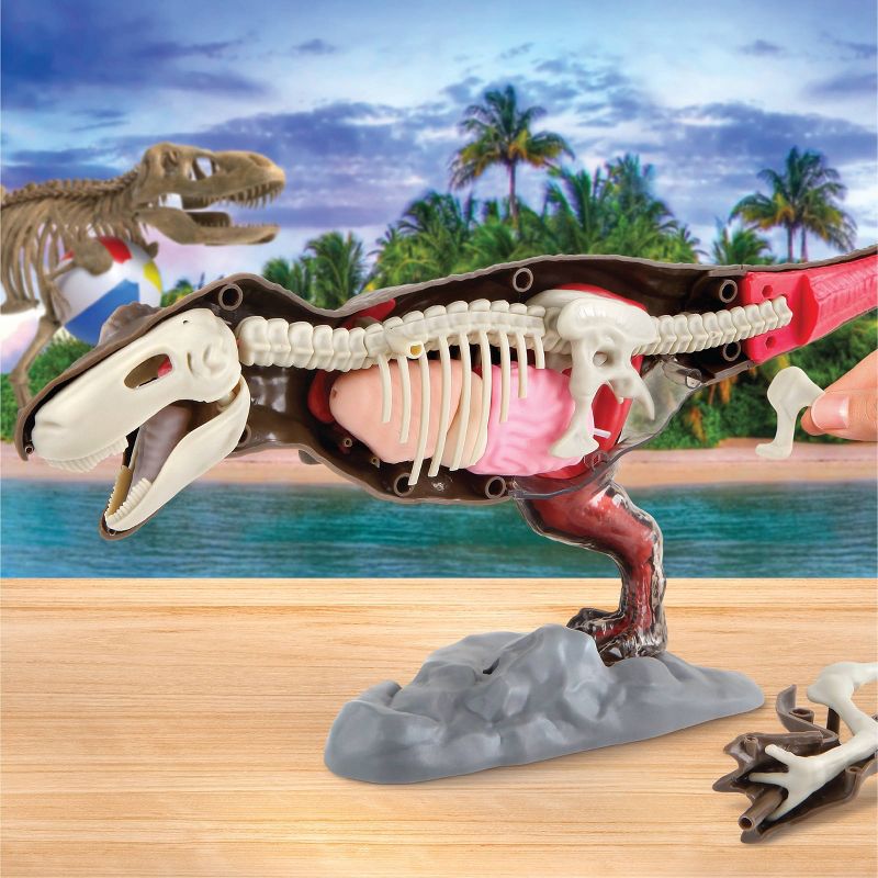 Discovery Kids Toy Anatomy T-Rex Kit Science Kit