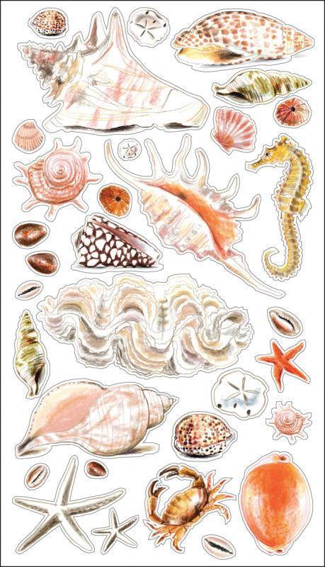 Sticko 58 Stickers-Sea Shells and Sand