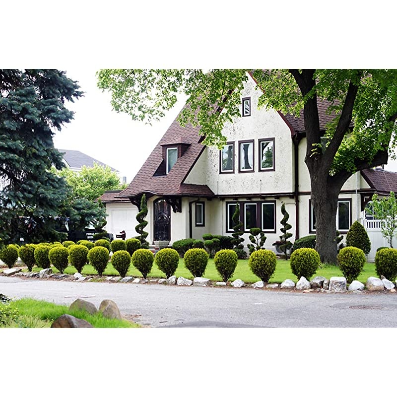 Cine DS DS35M-NEX 35mm T1.5 AS IF UMC Full Frame Cine Wide Angle Lens for Sony E