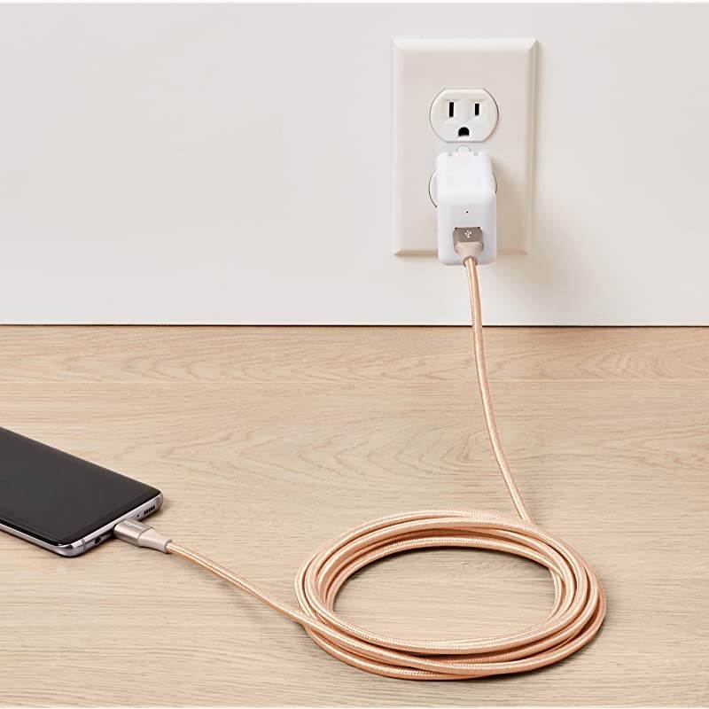 Basics 10 foot Nylon USB-C to USB-A 2.0 Fast Charging Cable, Gold