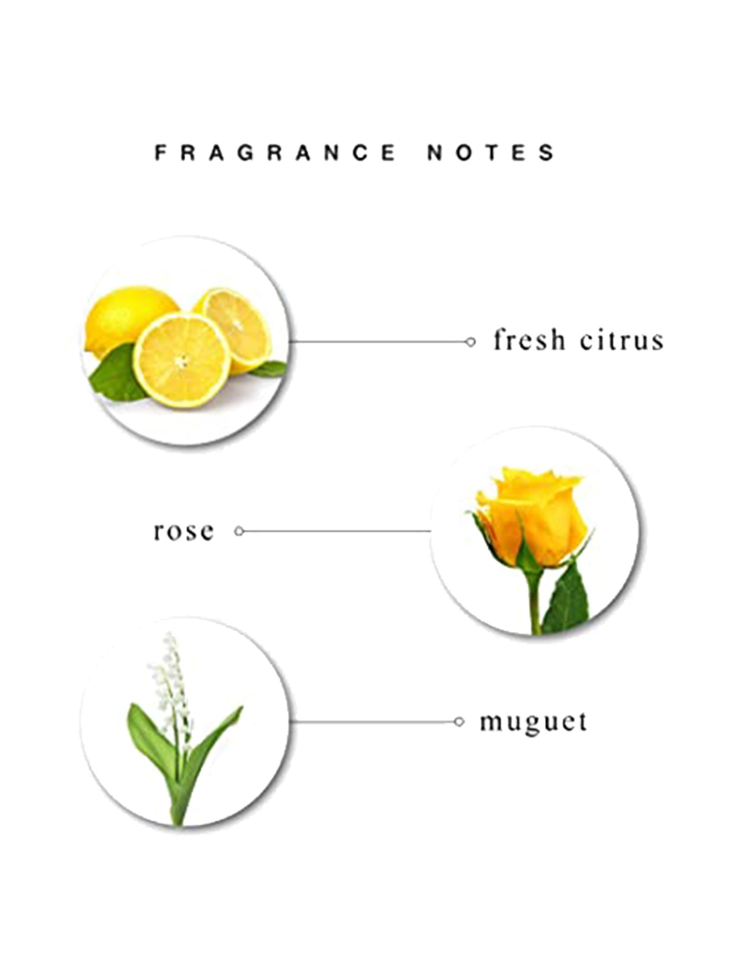 L'OCCITANE Eau De Cedrat Stick Deodorant for Men - 75 ml