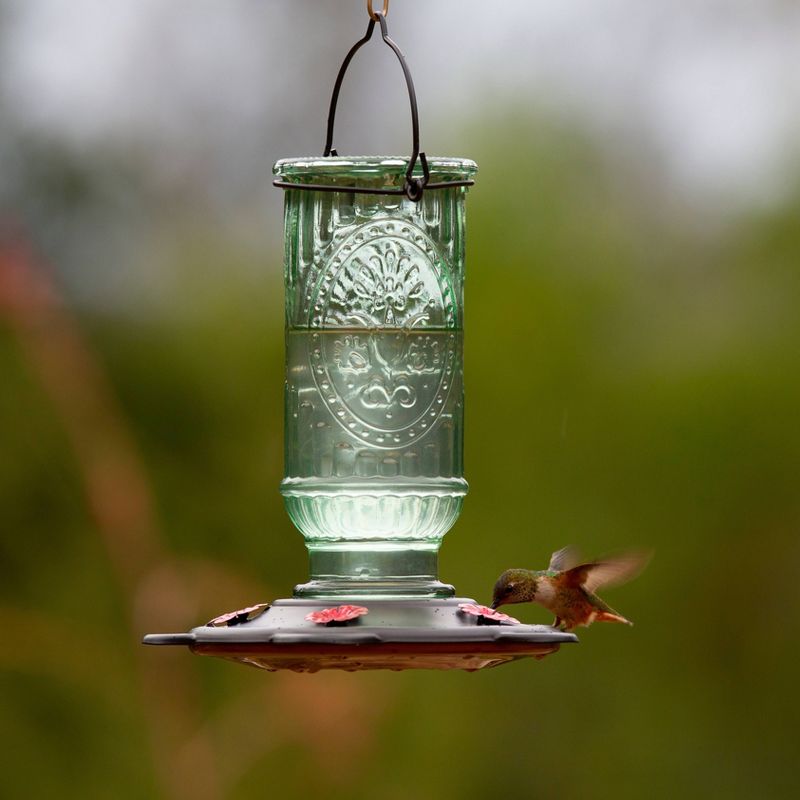 Droll Yankees More Birds Vintage Hummingbird Feeder - Green/Bronze