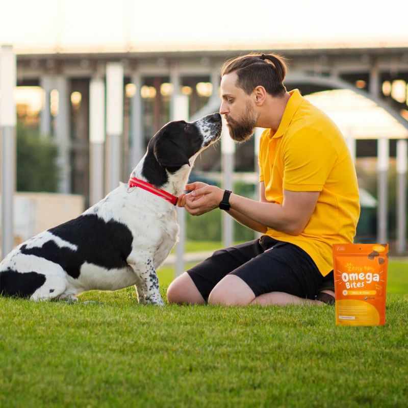 Zesty Paws Omega 3 Skin and Coat Vitamins & Supplement for Dogs – 60 ct