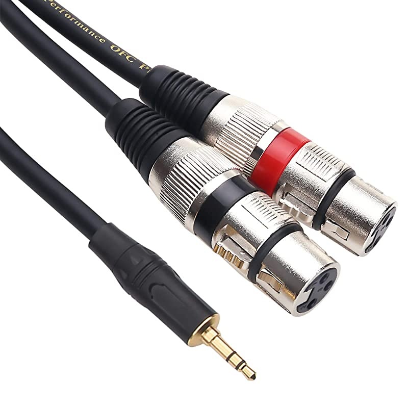 Dual XLR Female to 3.5mm Stereo Microphone Cable, Unbalanced Double XLR to 1/8 Inch Aux Mini Jack Y-Splitter Breakout Lead Mic Cord - 10 FT