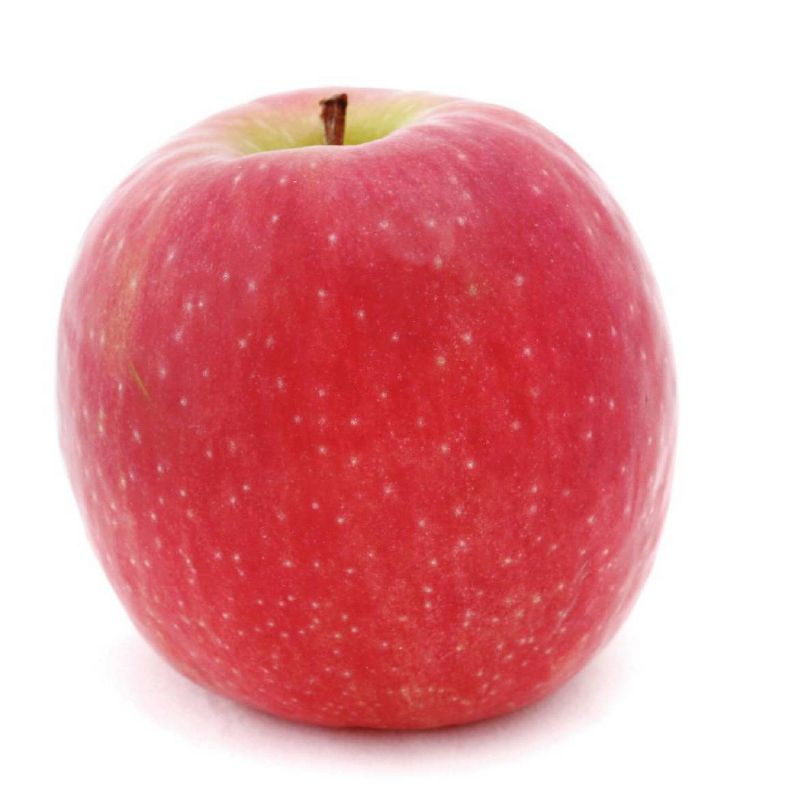 Pineapple Spears - 16oz