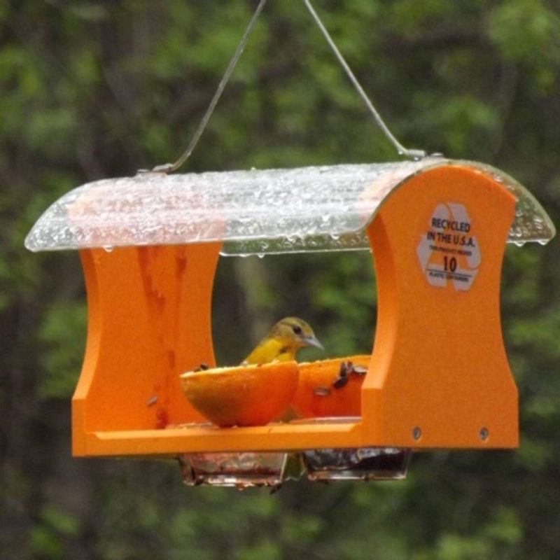 Birds Choice Poly-Recycled Oriole Bird Feeder