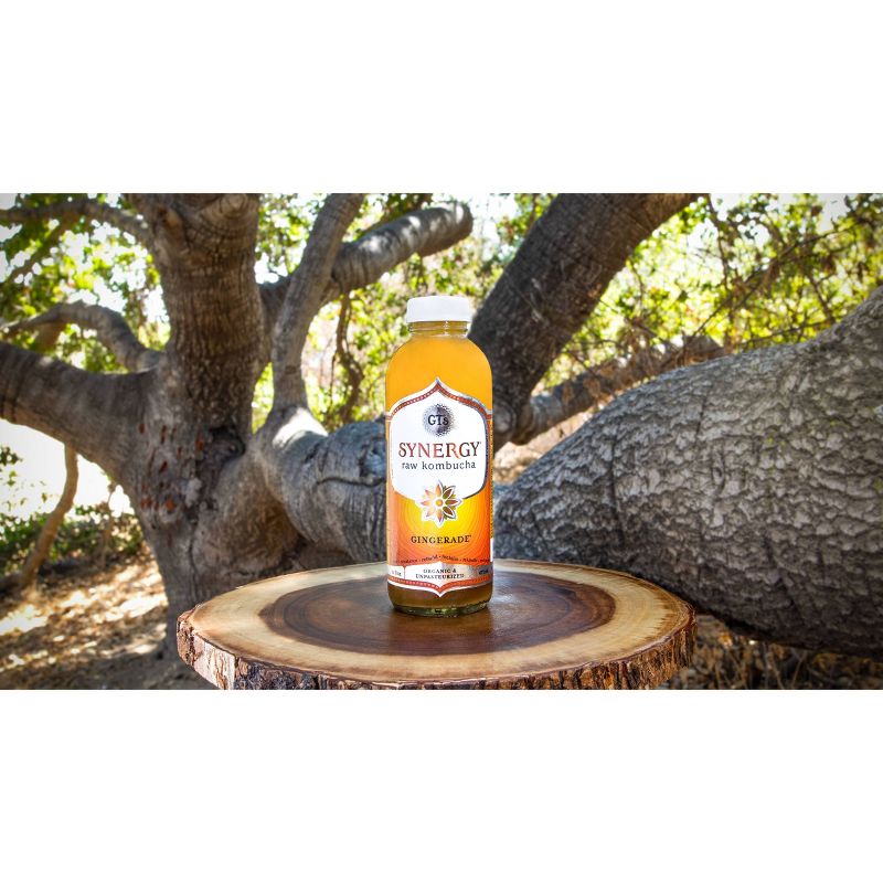 G.T.'s Enlightened Gingerade Organic Vegan Raw Kombucha - 16 fl oz Bottle