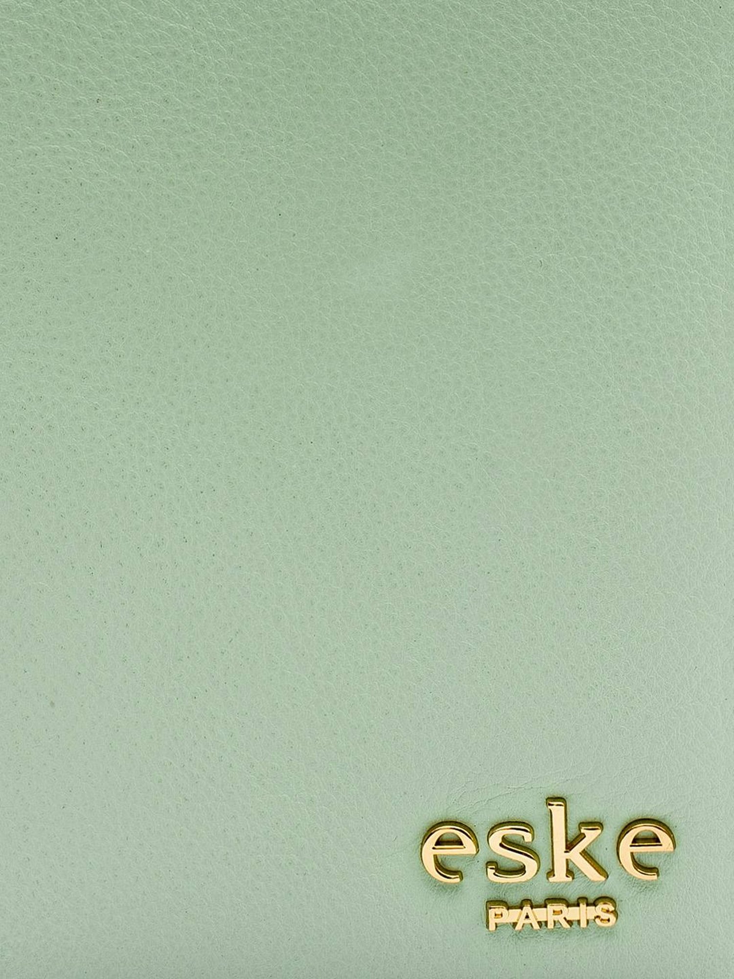 Eske Addler Dainty Blue Solid Small Passport Holder