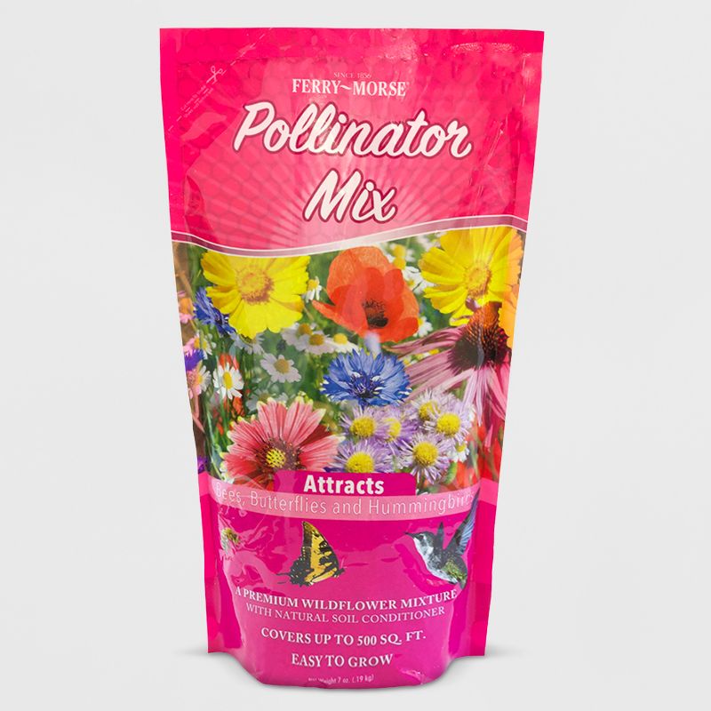 Van Zyverden Roses Mikado Root Stock