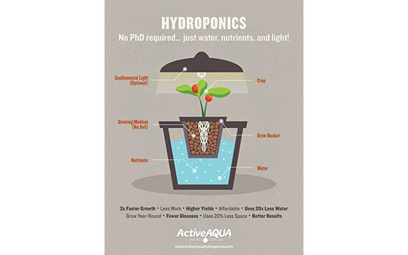 Hydrofarm AAPA15L Active Aqua 6 Watt 240 GPH Adjustable Hydroponic Aquarium Air Pump with 4 Outlets and 4 Foot 120V Cord