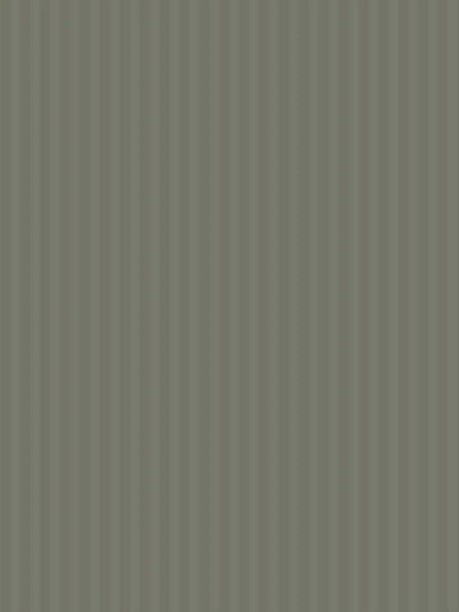 My Room Grey 100% Cotton 300 TC King Bedsheet with 2 Pillow Covers