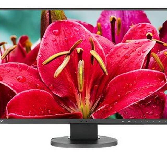 NEC MultiSync EA245WMI-BK - LED monitor - EA245WMI-BK