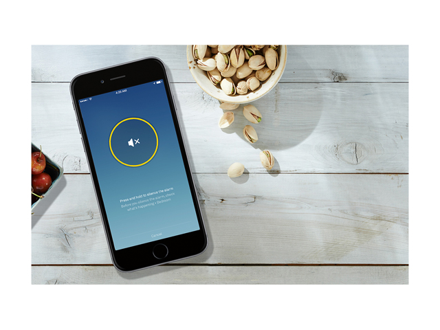 Nest Protect (Wired) 2nd Generation, White