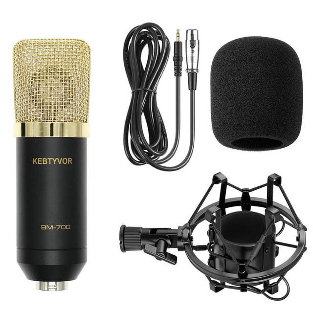 BM700 XLR Microphone Kit Professional Cardioid Studio Condenser Mic for Streaming Podcasting Gaming Vocal Recording