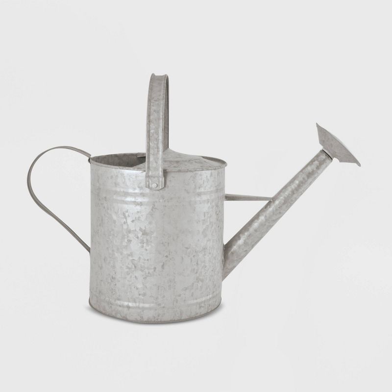 11" Steel Watering Can Silver - Esschert Design