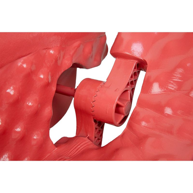 TRC Recreation Swimming Pool Soft Adjustable Folding Chair Lounge Float, Coral