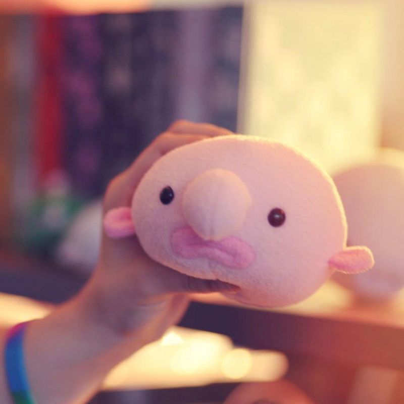 Hashtag Collectibles Oddballz Blobfish 4 Inch Plush Animal