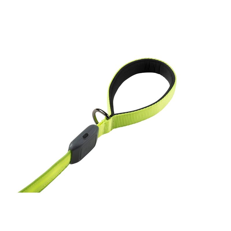 Nite Ize LED Dog Leash - Green