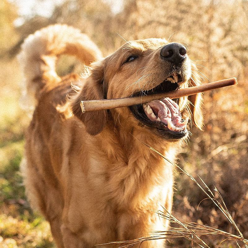 Best Bully Beef Sticks Rawhide Dog Treats - 12pk