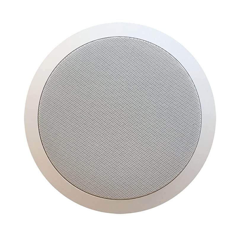 Silver Ticket inWall inCeiling Speaker with Pivoting Tweeter 2 Channel Stereo 65 Inch inCeiling 94 inch Overall Size