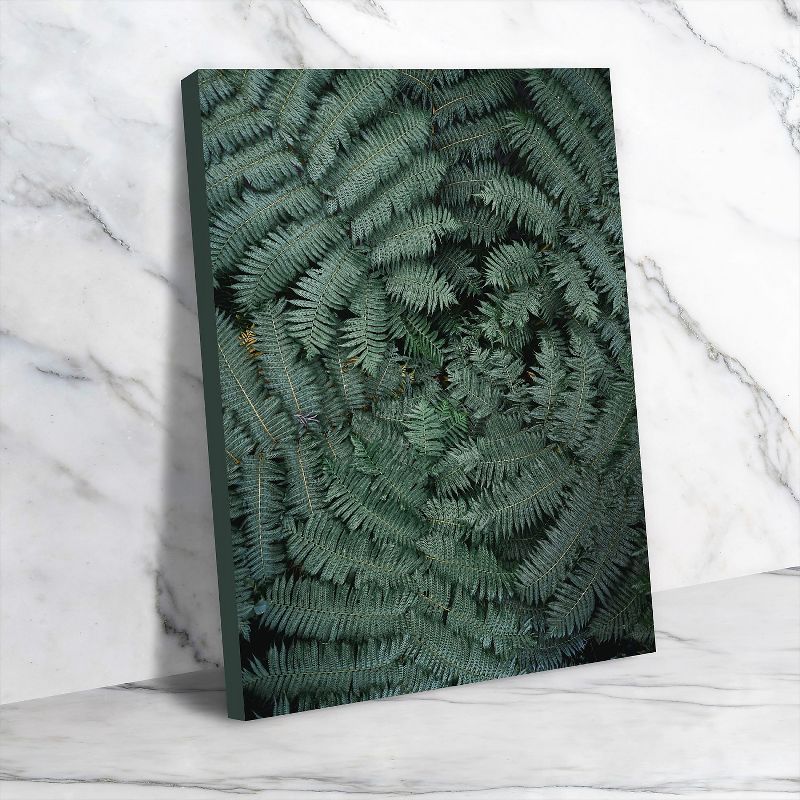 Americanflat Botanical Vibes In Mexico I by Raisa Zwart Wall Art Canvas - 11" x 14"