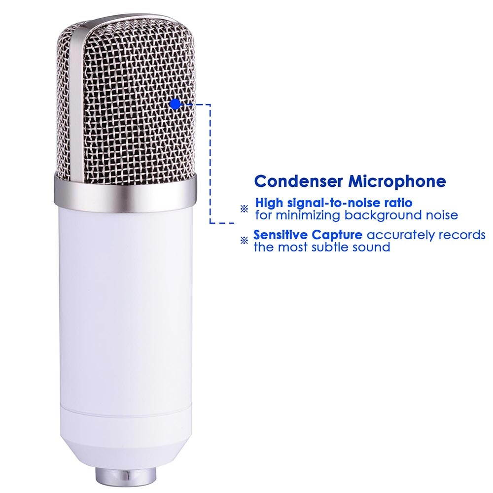 Pro Condenser Microphone w/ Shock Mount Arm Stand Pop Filter For Recording Studio Stage