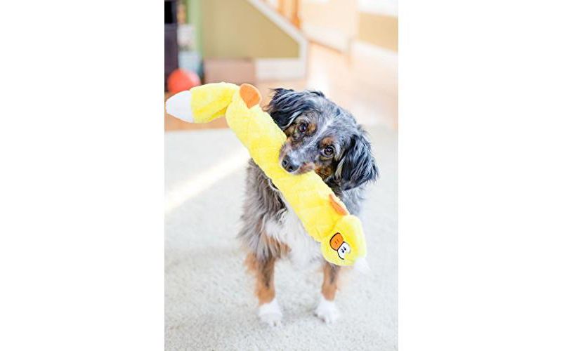 ZippyPaws - Jigglerz Tough No Stuffing Squeaky Plush Dog Toy with Crinkle Head and Tail - Duck