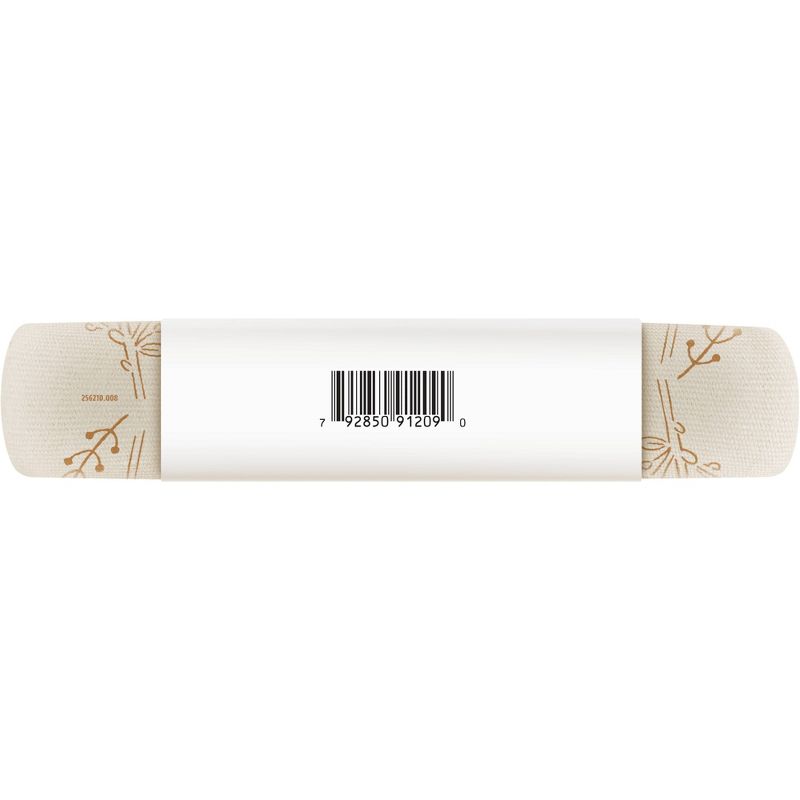 Fridababy DermaFrida The FlakeFixer 3-Step Cradle Cap System