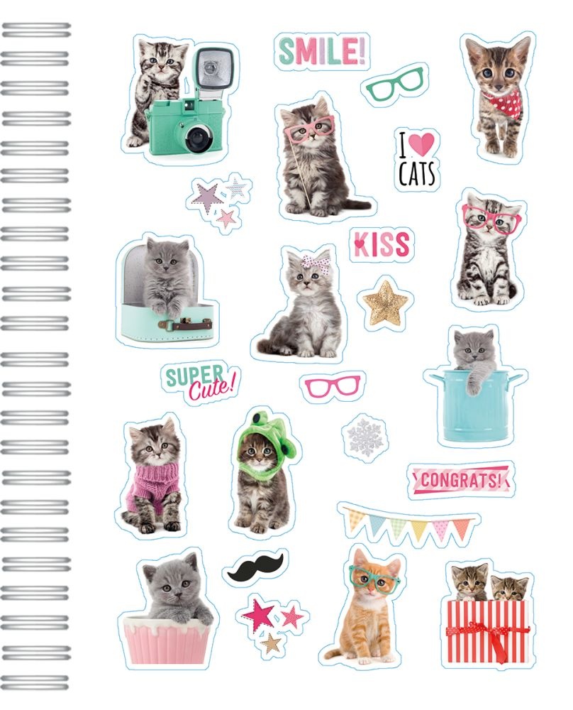 Turner Licensing,  Kittens Perpetual Calendar by Studio Pets