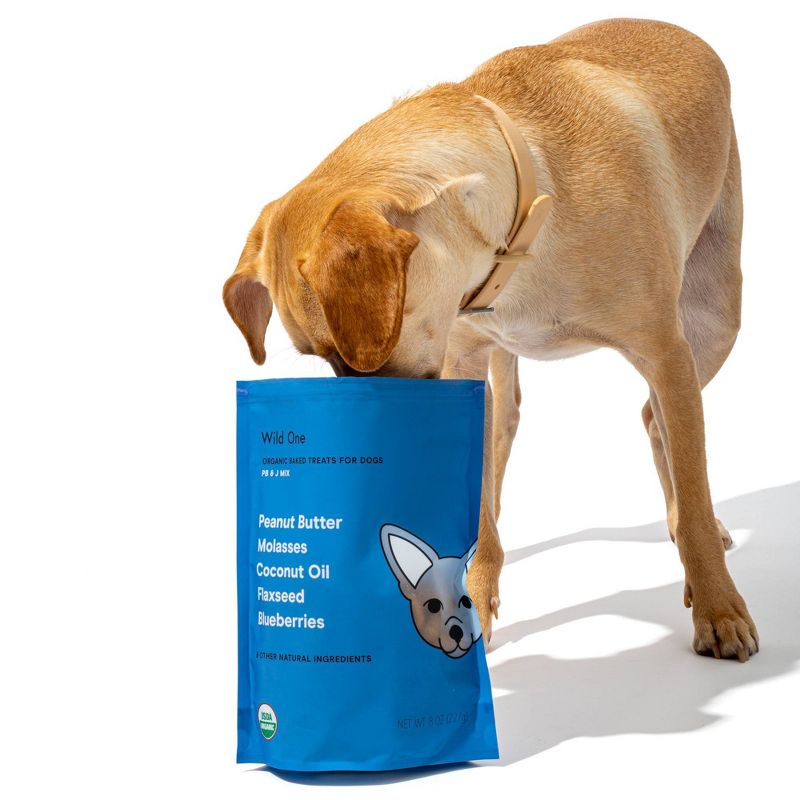 Wild One Treats PB&J Dog Treats - 8oz