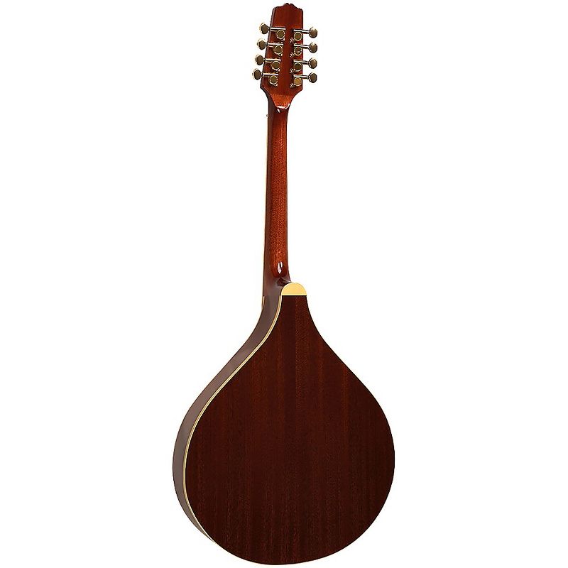 Gold Tone OM-800+ Octave Mandolin Natural